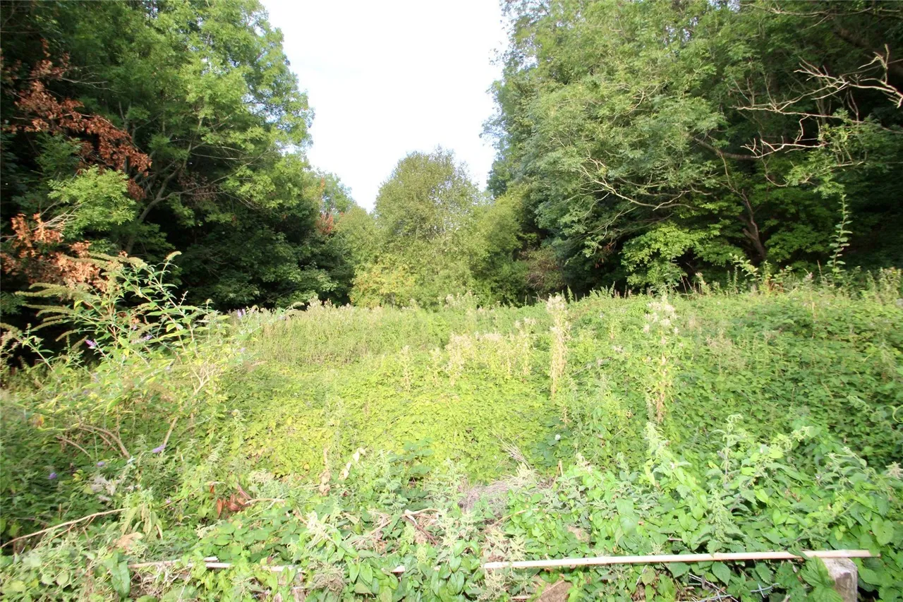 Wheatsheaf Gardens, Lewes, BN7, photo 22