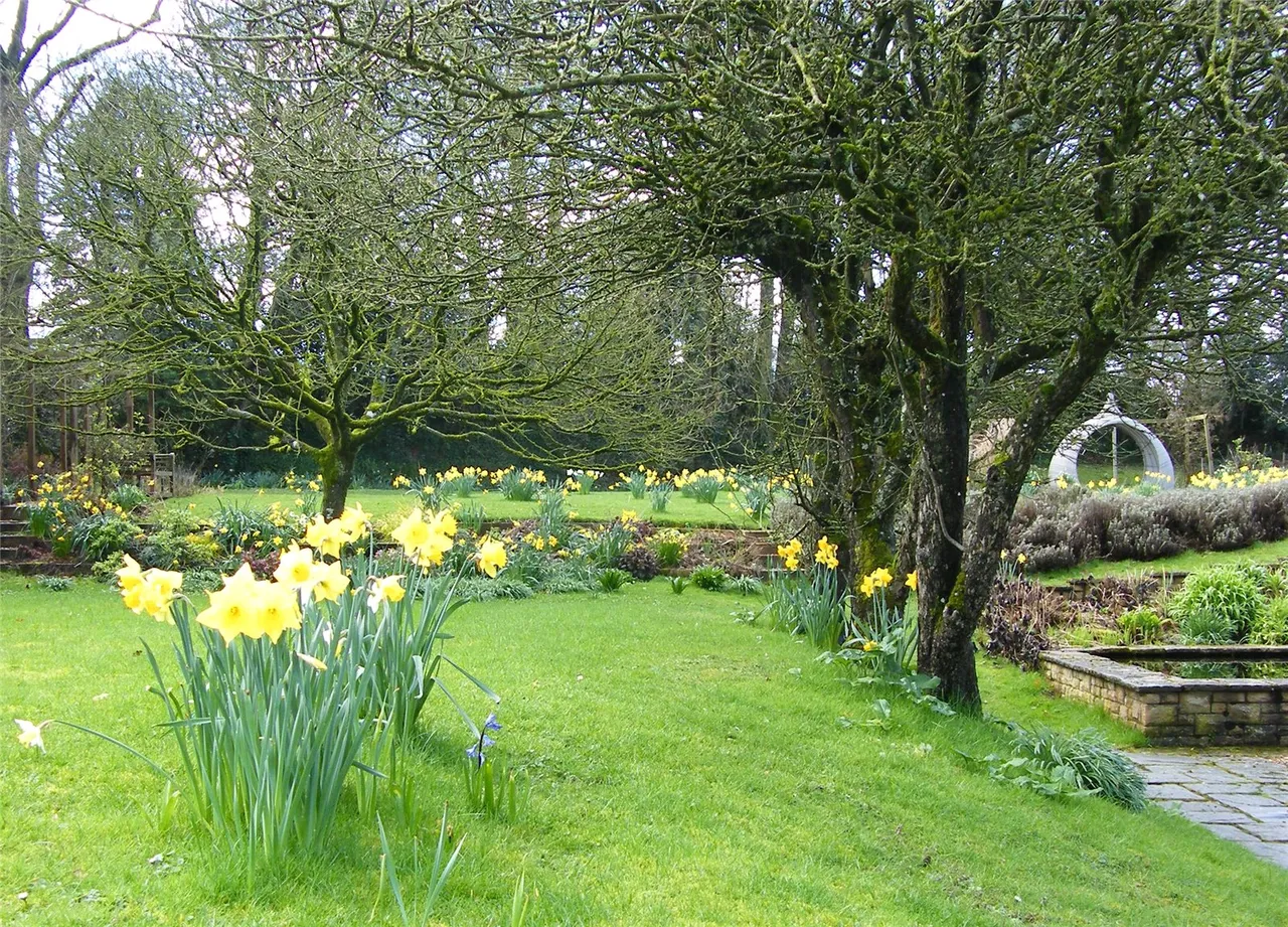 Cobnash, Kingsland, Leominster, Herefordshire, HR6 9RA, photo 19