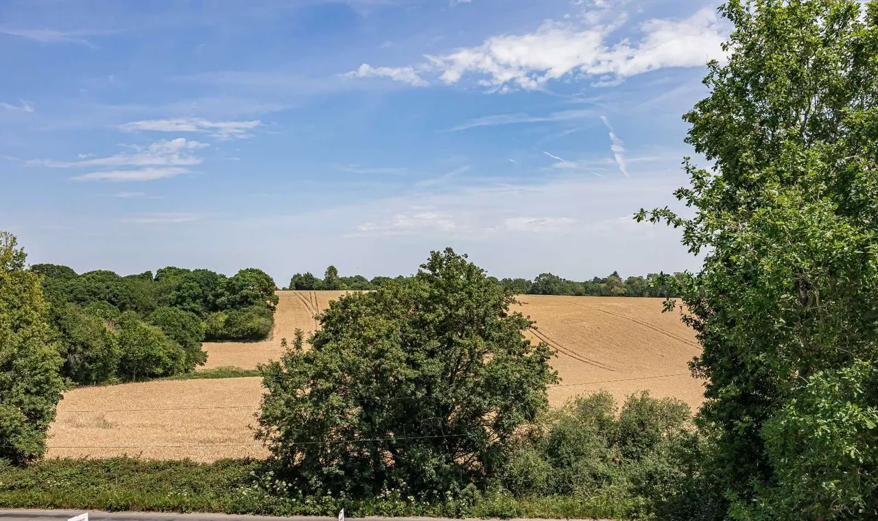 Peppard Road, Sonning Common, RG4, photo 2