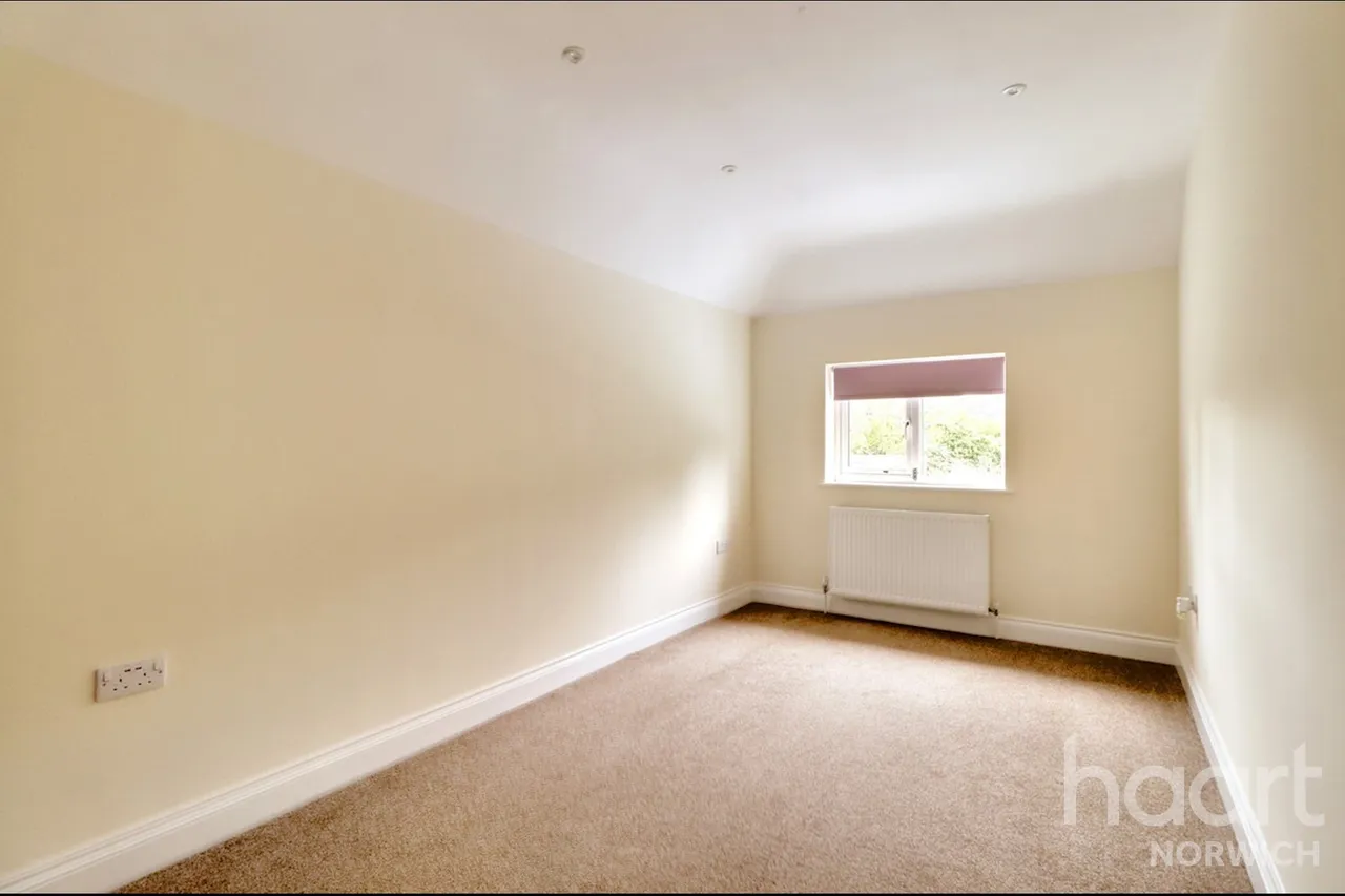 Sutherland Avenue, Norwich, NR6, photo 24