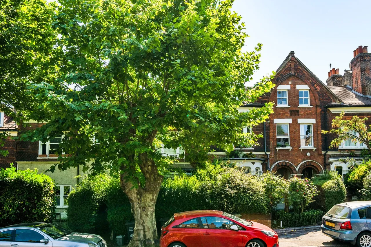 Adelaide Avenue, SE4, photo 18