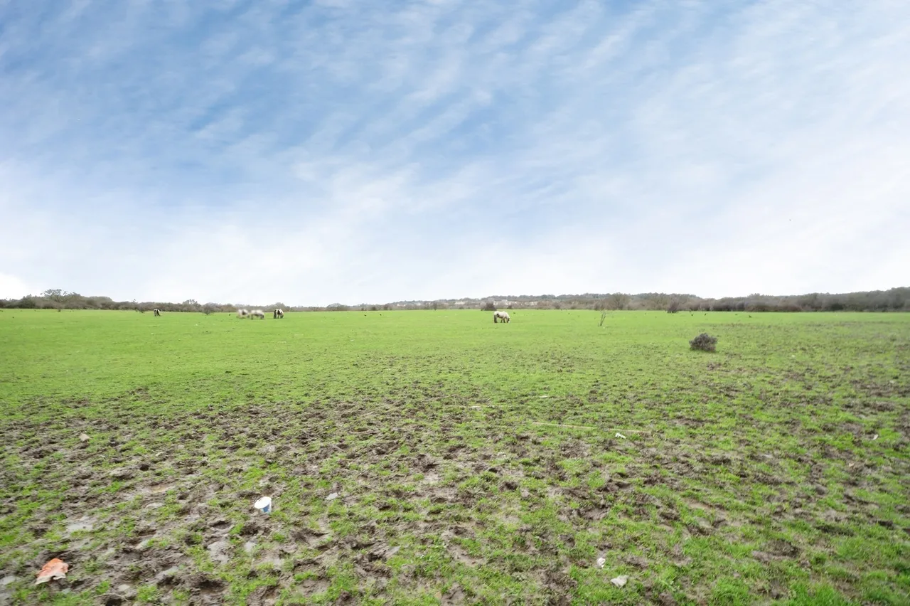 Chigwell View, Romford, RM5, photo 2