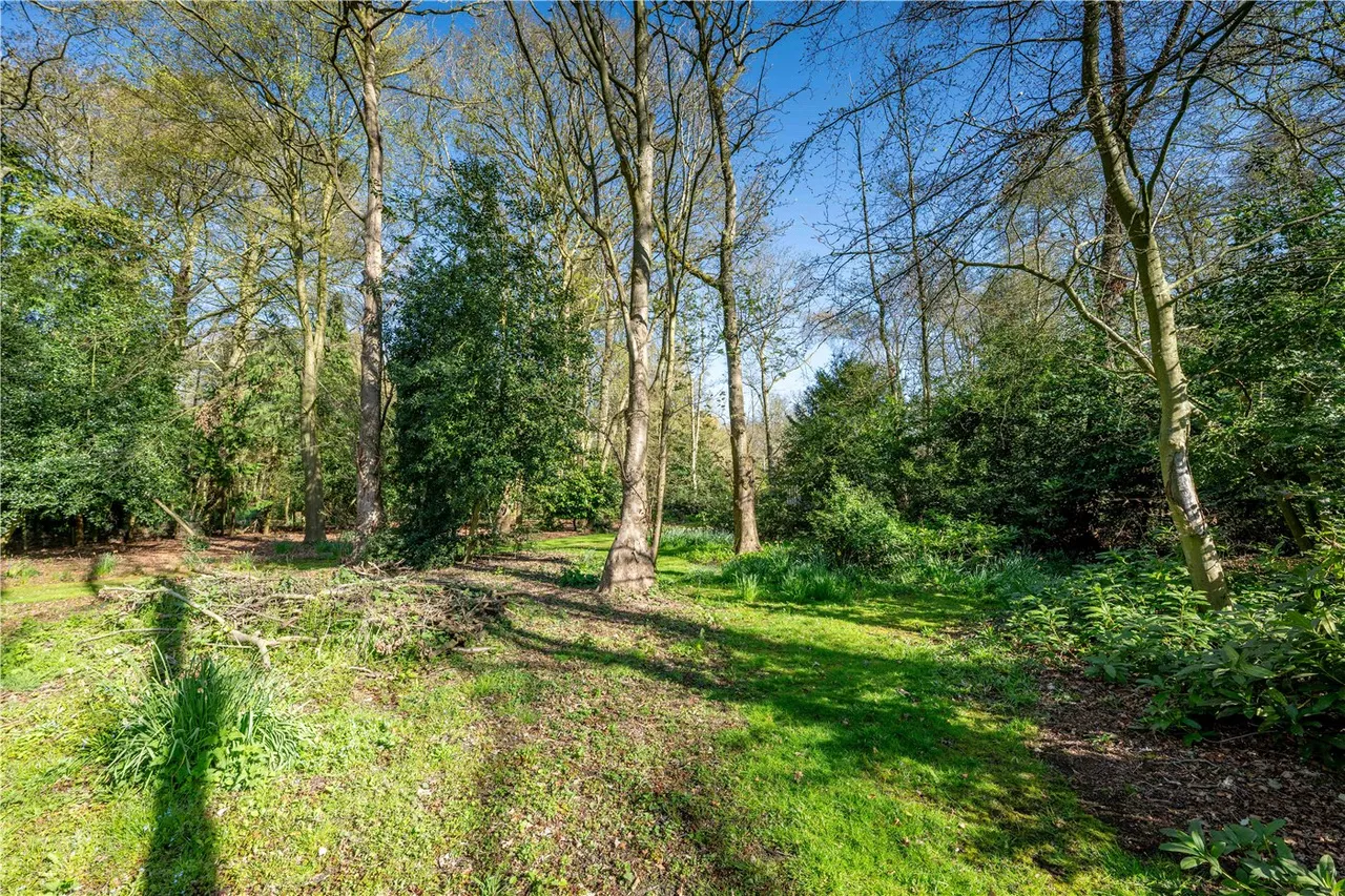 Long Road, Framingham Earl, Norwich, Norfolk, NR14, photo 10