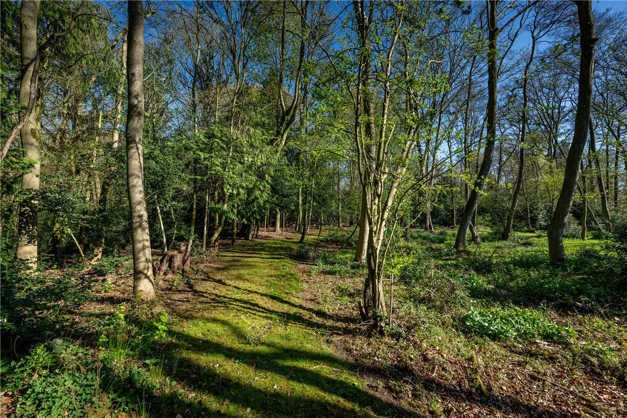 Long Road, Framingham Earl, Norwich, Norfolk, NR14, photo 11