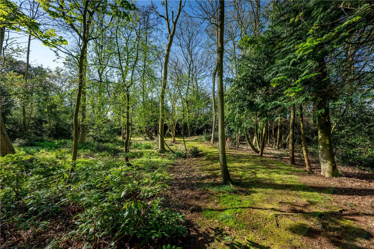 Long Road, Framingham Earl, Norwich, Norfolk, NR14, photo 12