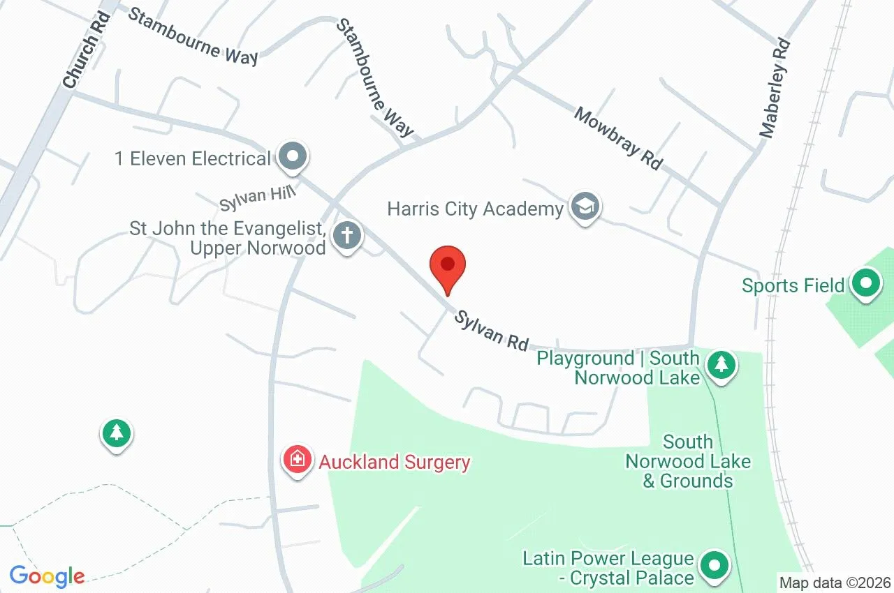 Sylvan Road, London, SE19, photo 17