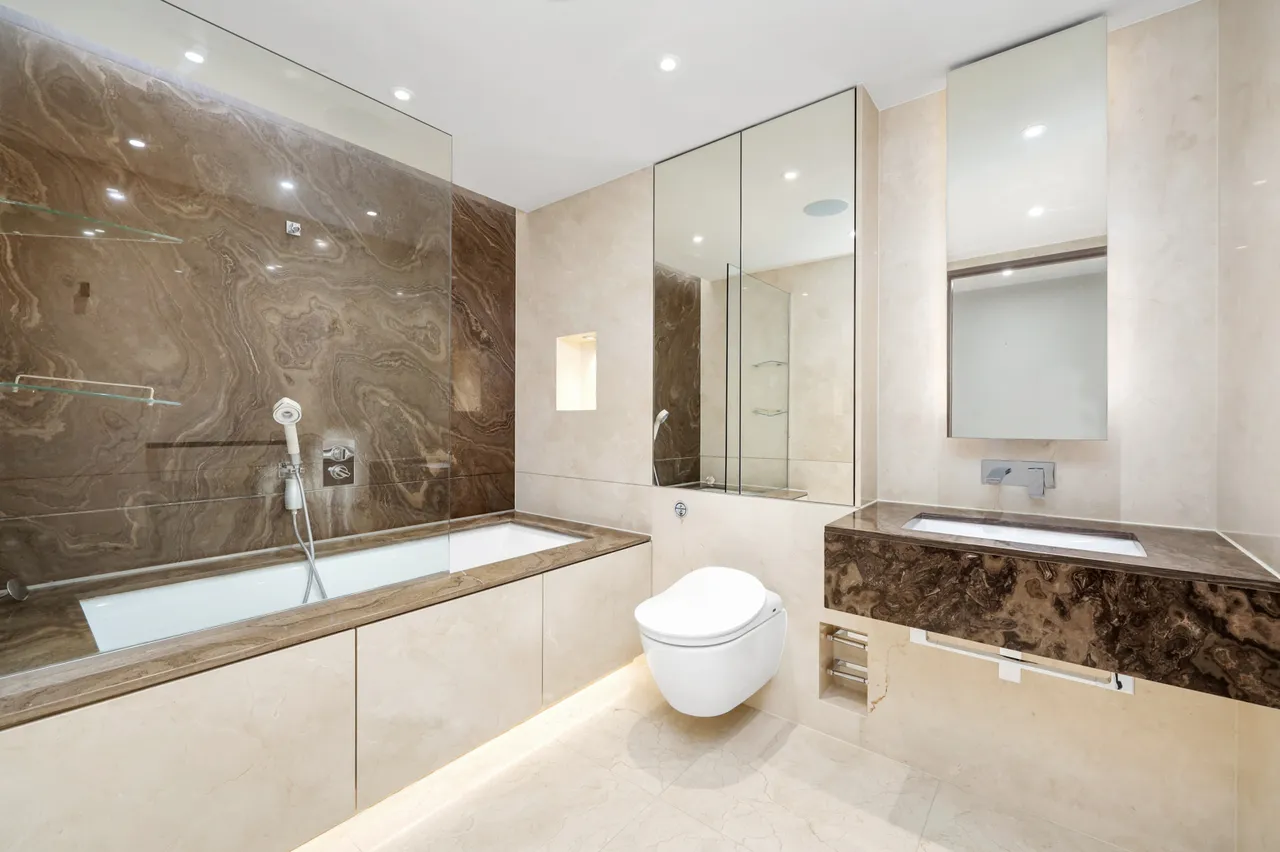 Park Street, Chelsea Creek, SW6, photo 12
