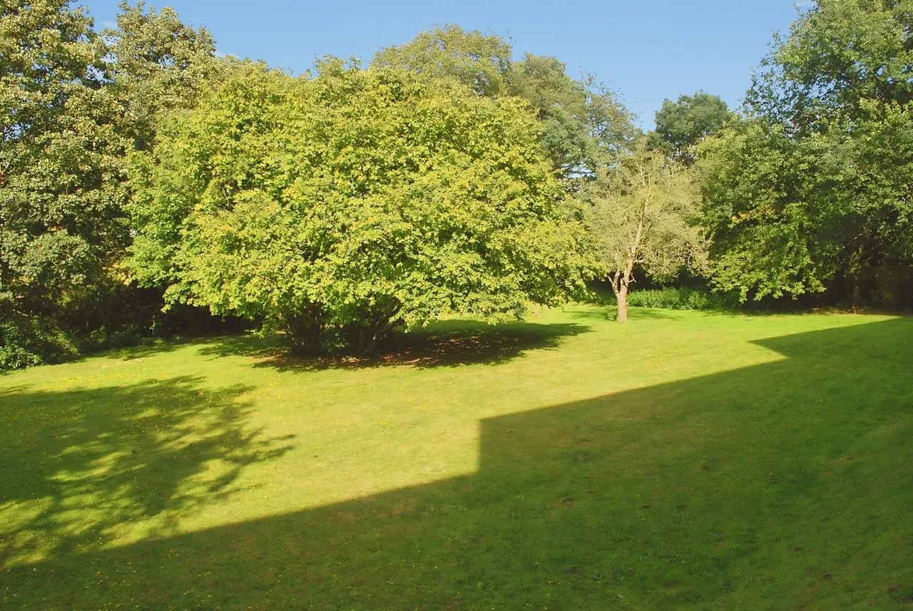 London Lane, Bromley, BR1, photo 7