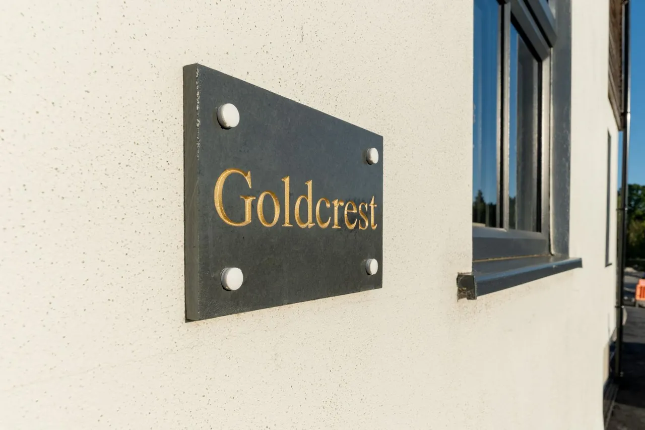 Goldcrest, Llanarth, SA47, photo 4