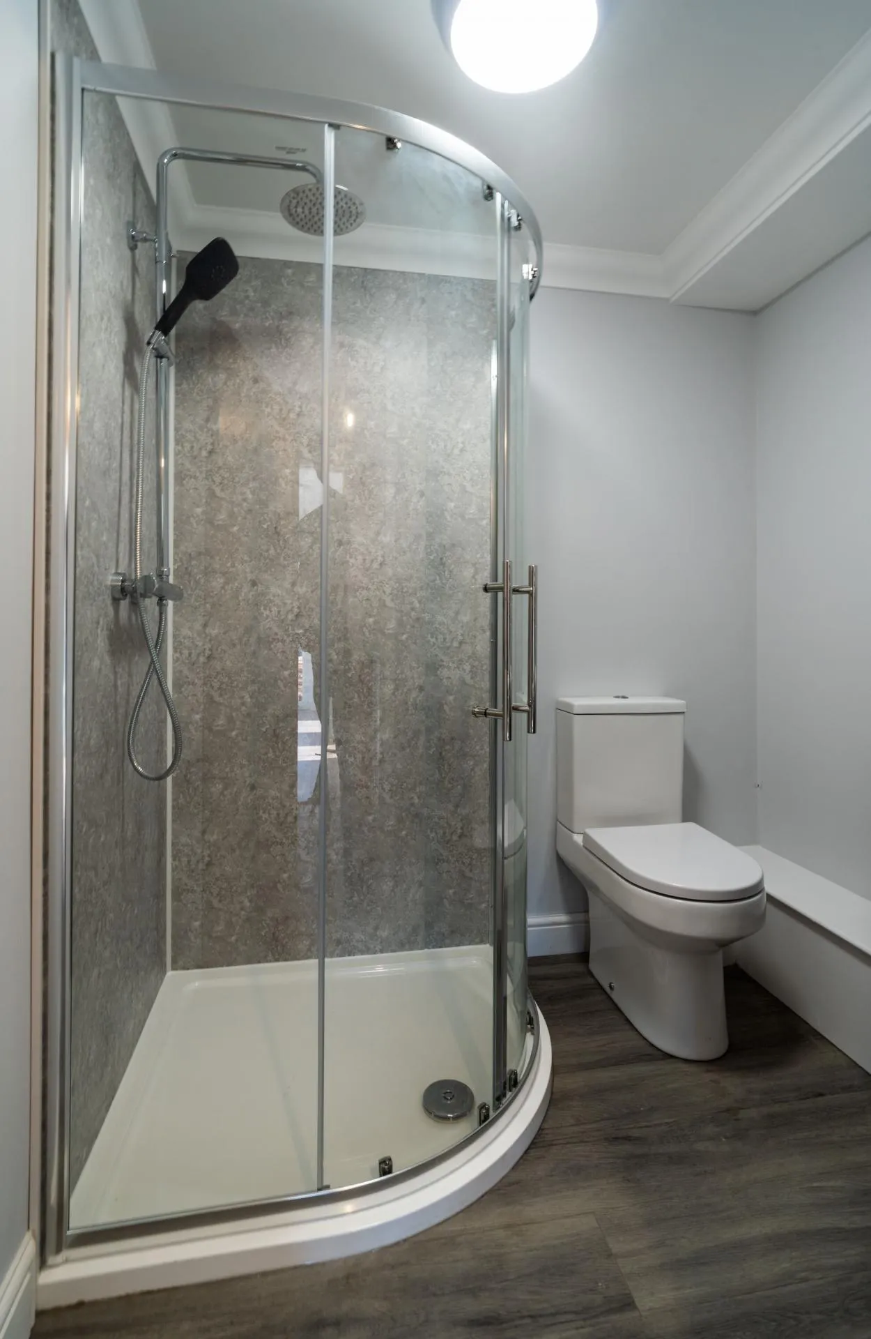 Goldcrest, Llanarth, SA47, photo 13