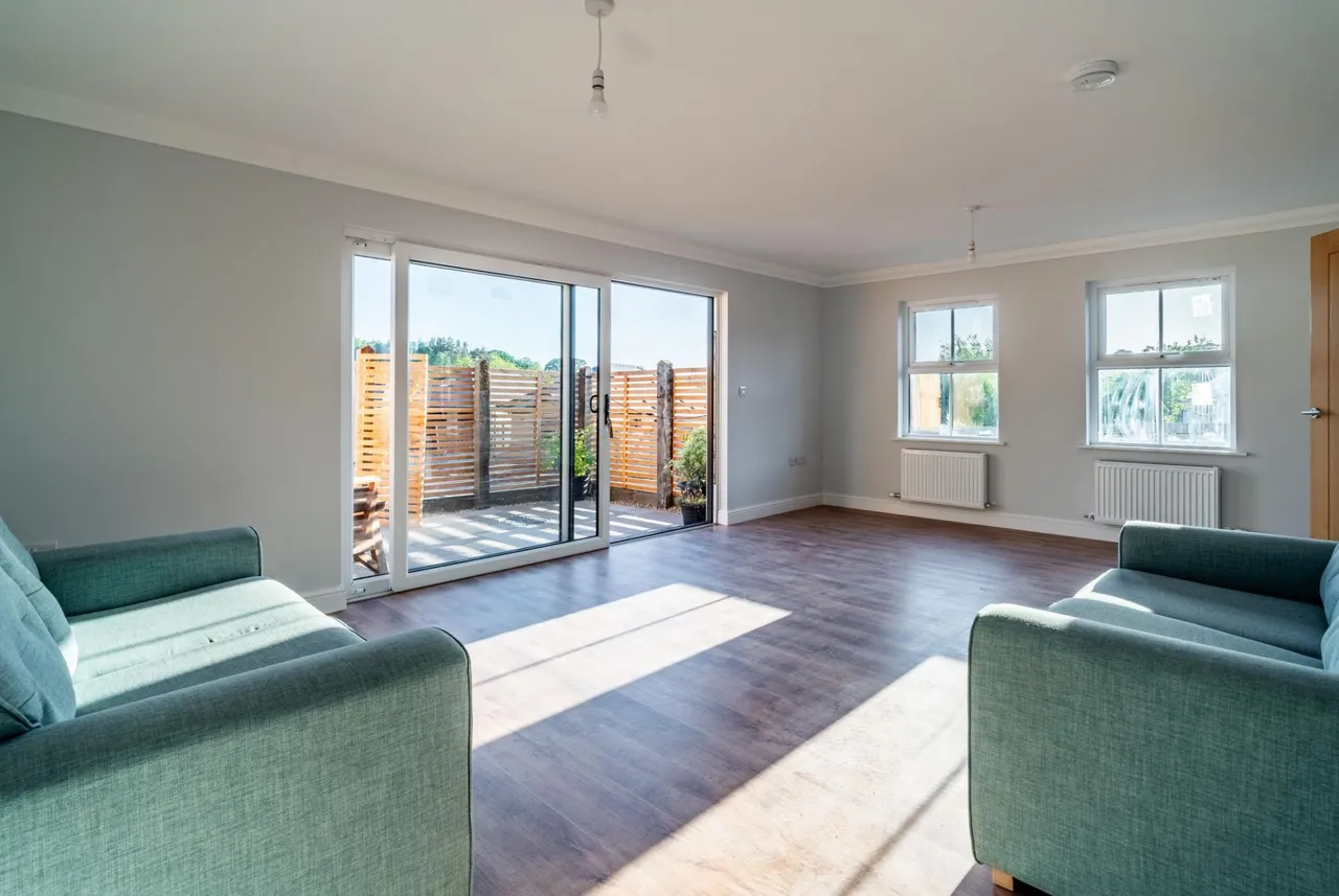 Goldcrest, Llanarth, SA47, photo 8