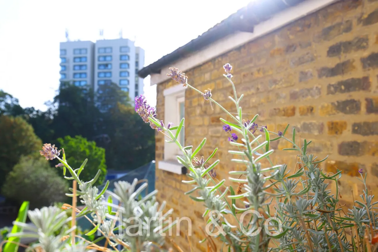 Duppas Avenue, Croydon, CR0, photo 36