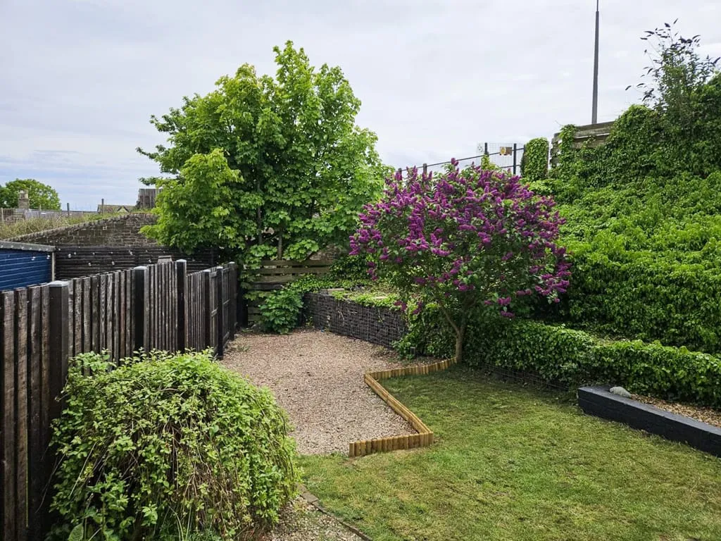Arbroath Road, Carnoustie, Angus, DD7 6BH, photo 30