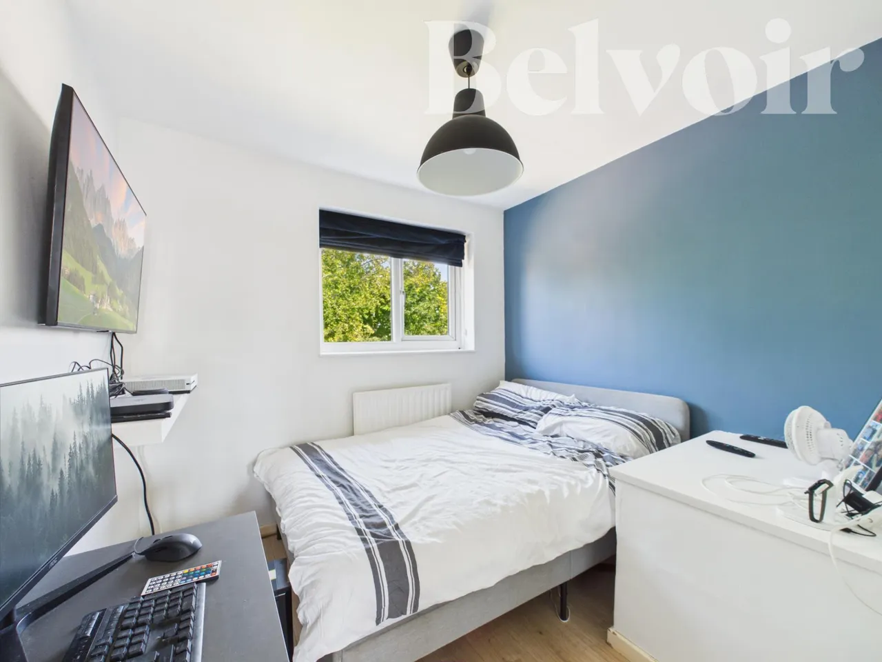 Dartmouth Walk, South Ham, Basingstoke, RG22, photo 6
