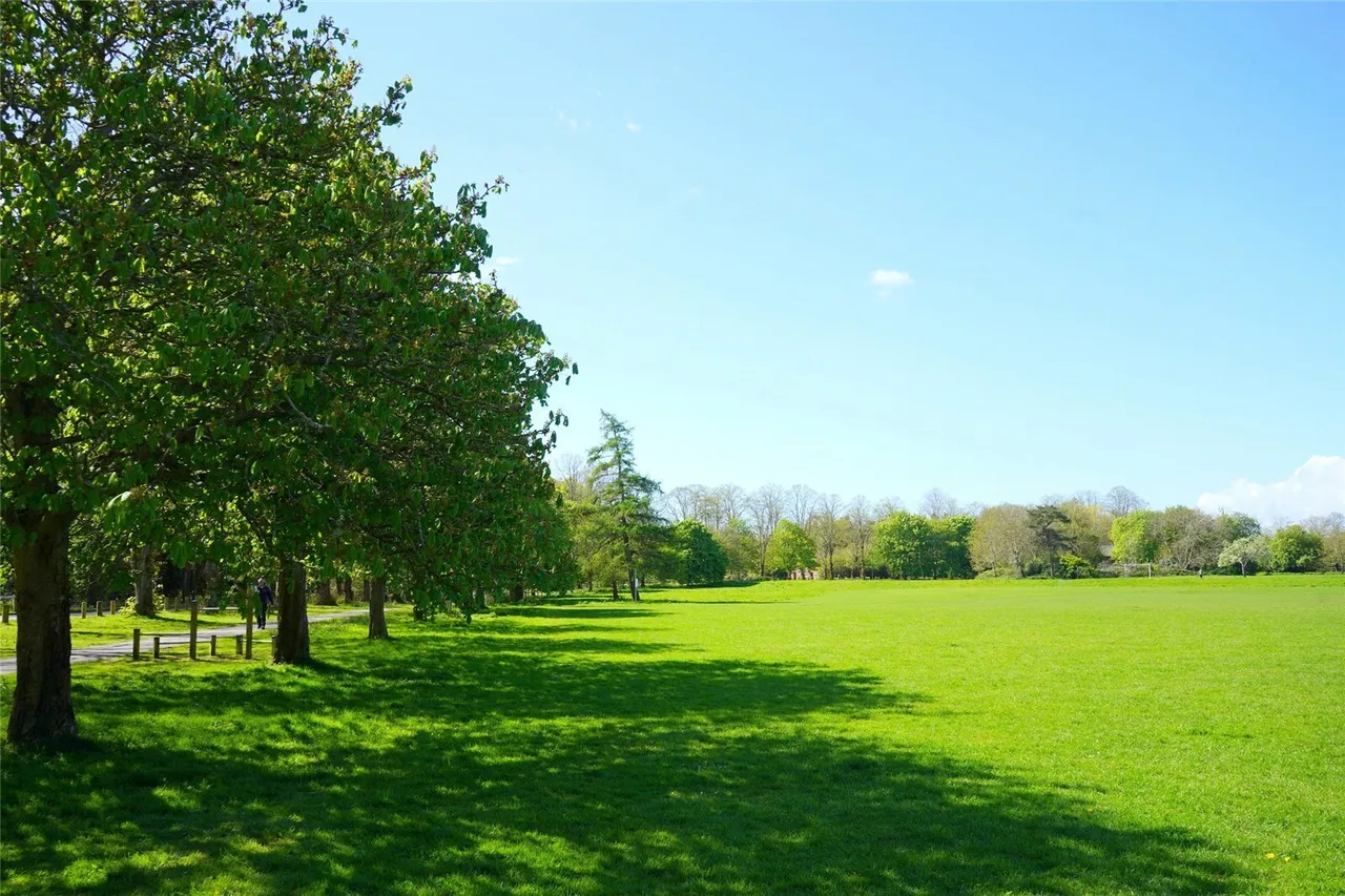 Homestead Road, Chichester, PO19, photo 26