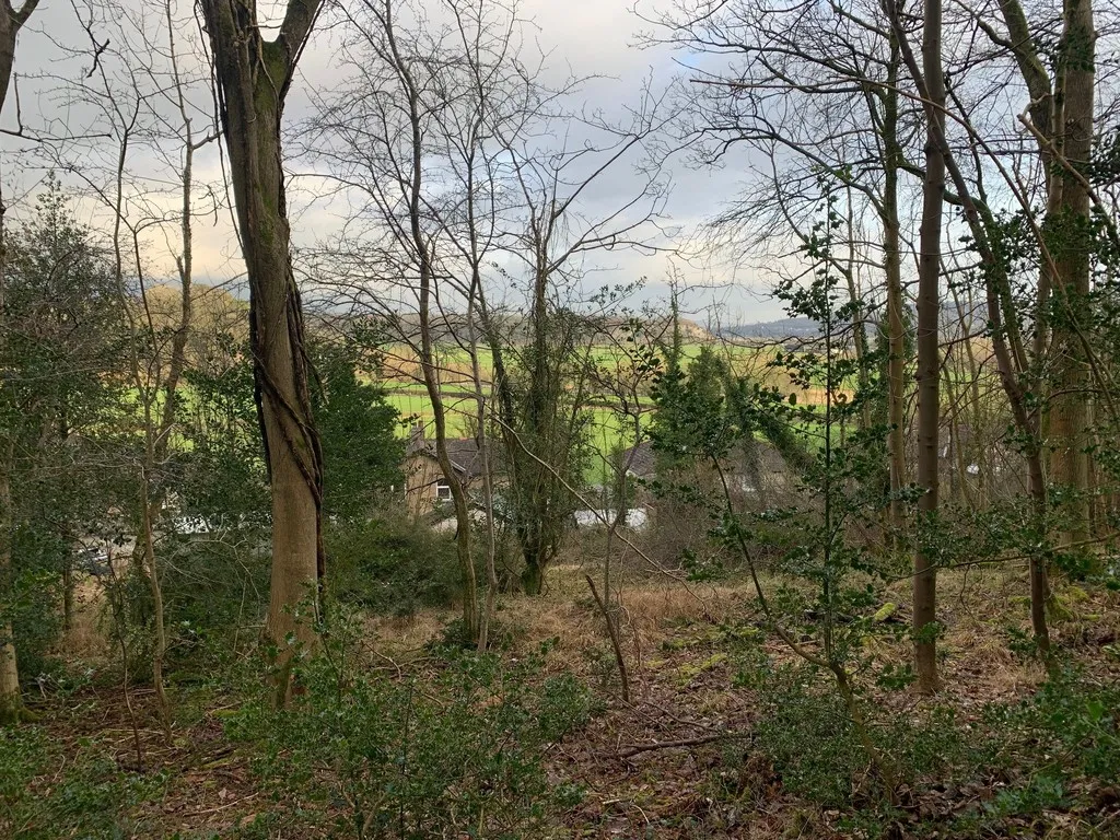 land for sale, Lyndene Drive, Lindale, LA11
