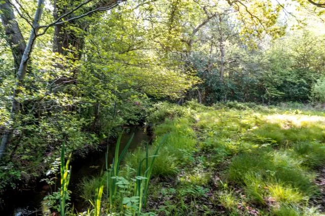 Stafford Lake, Knaphill, GU21, photo 34
