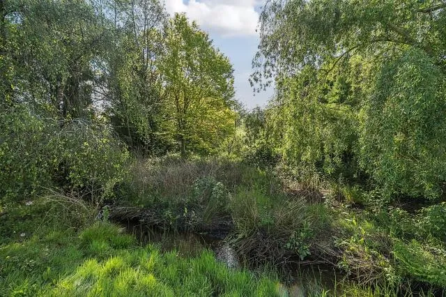 Stafford Lake, Knaphill, GU21, photo 29