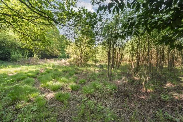 Stafford Lake, Knaphill, GU21, photo 32