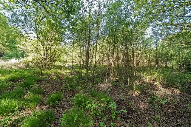 Stafford Lake, Knaphill, GU21, photo 28