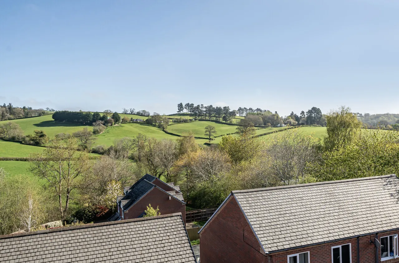 Brynmor Close, Newtown, photo 23