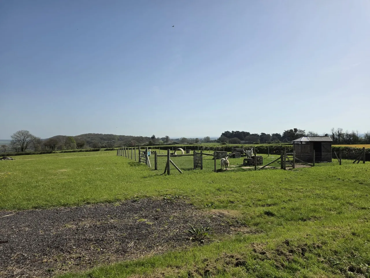 Wrantage, Taunton, TA3, photo 27