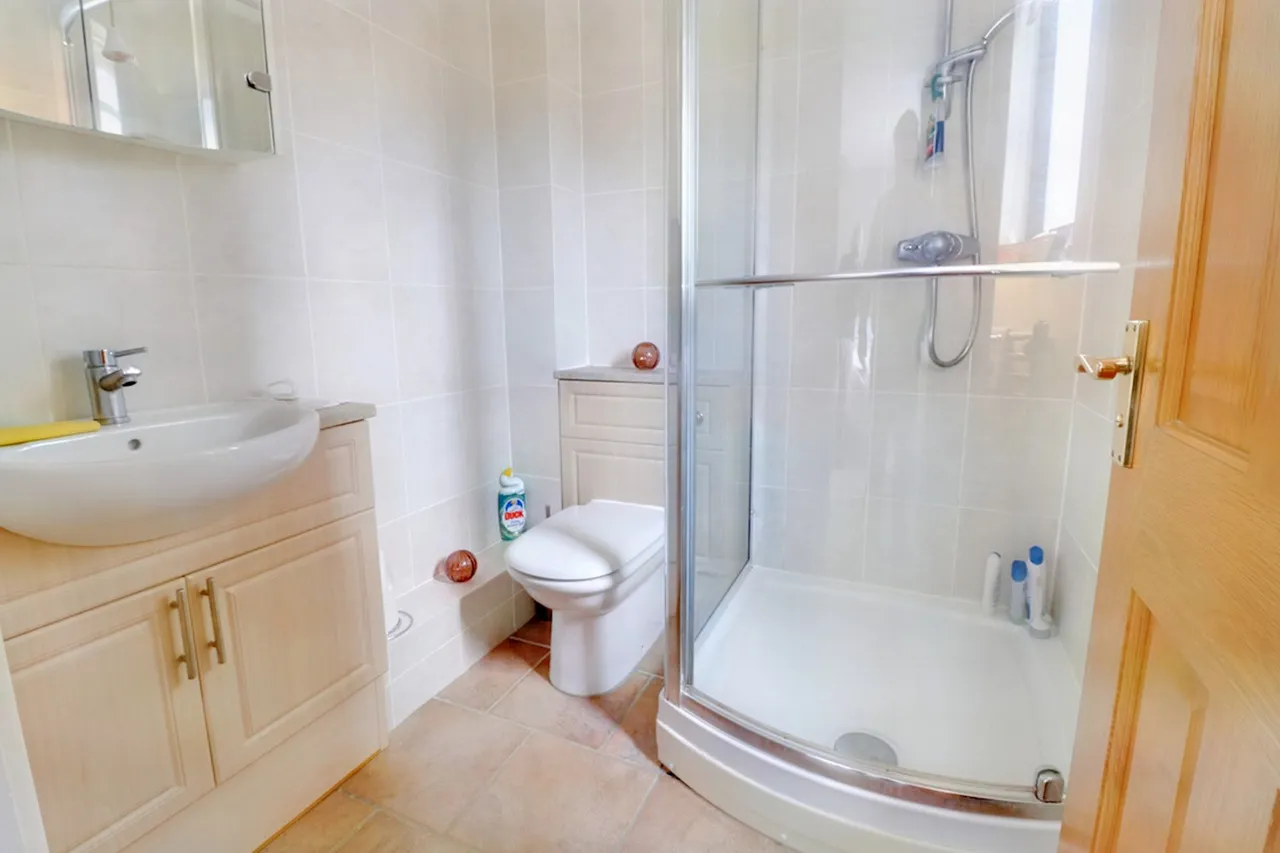 Mayfield Road, Ipswich, IP4, photo 13