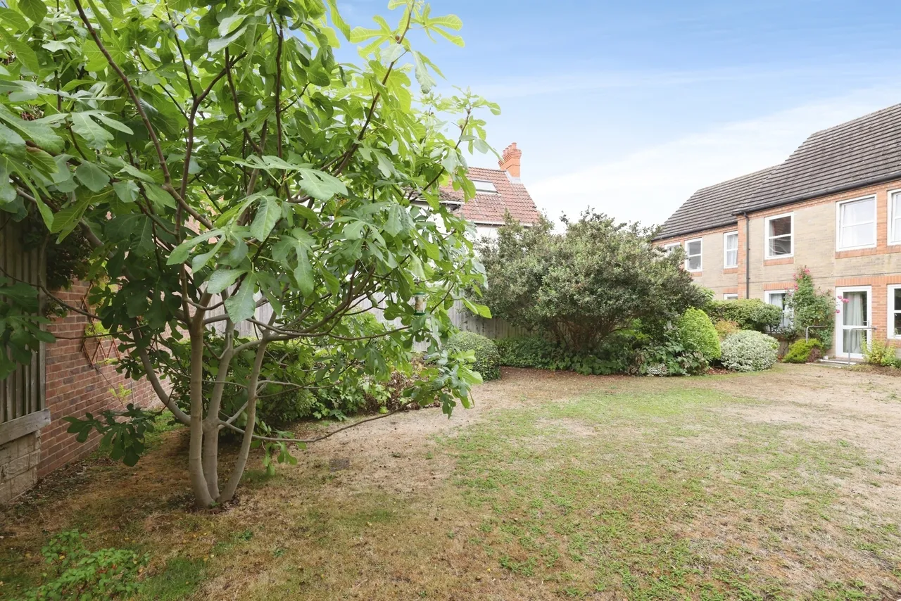 Wilton Road, Salisbury, photo 10