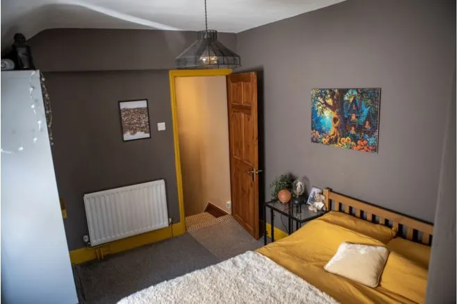 Alfred Street, Cardiff, CF24, photo 15
