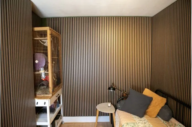 Alfred Street, Cardiff, CF24, photo 11