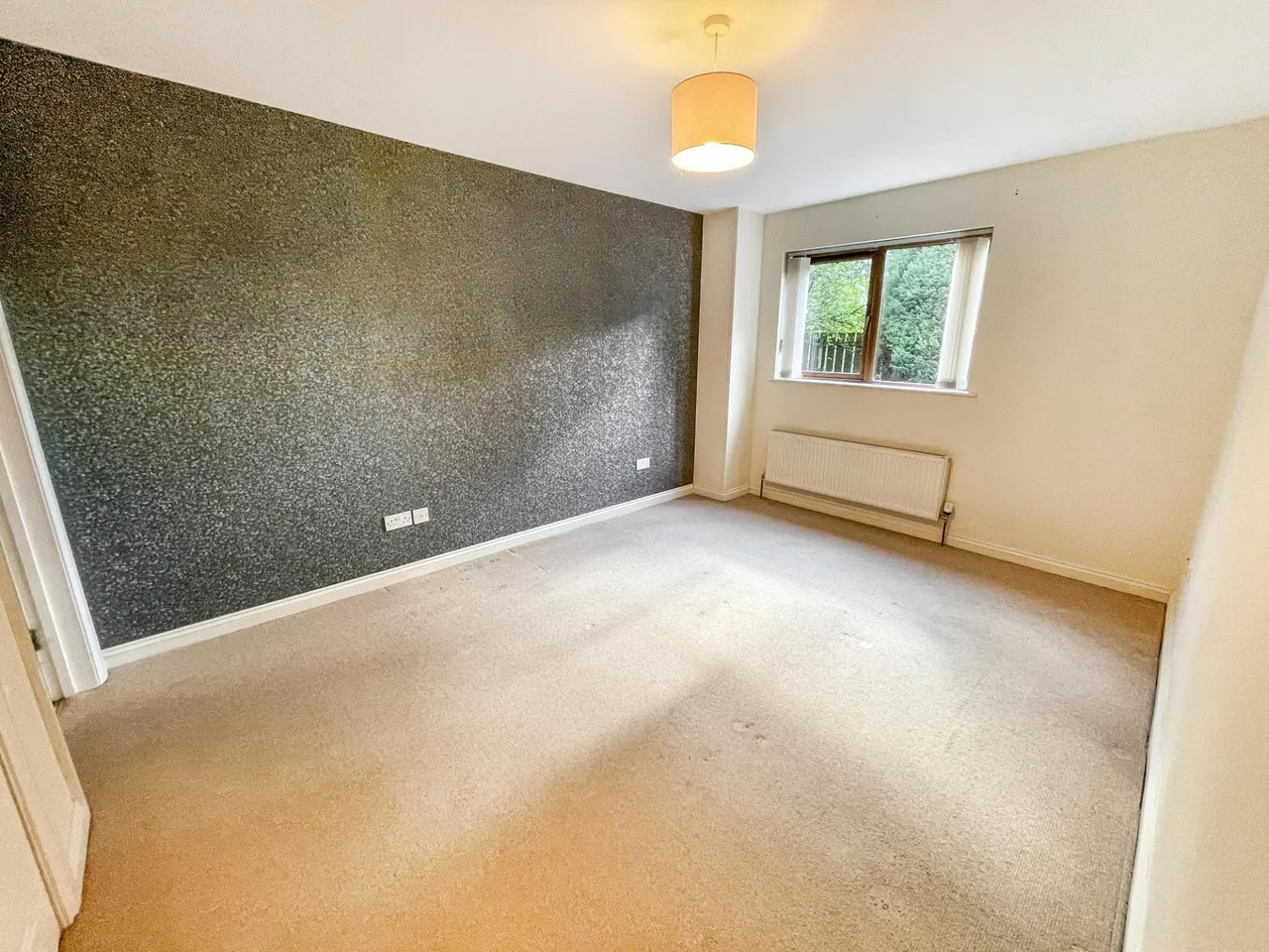 Alpha Mews, Lisburn, BT27, photo 10