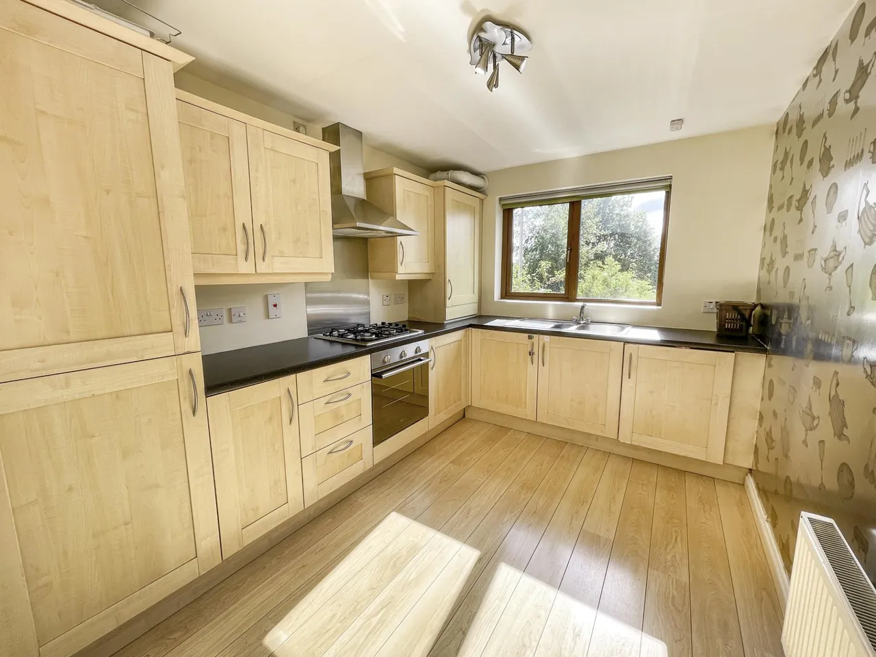 Alpha Mews, Lisburn, BT27, photo 6