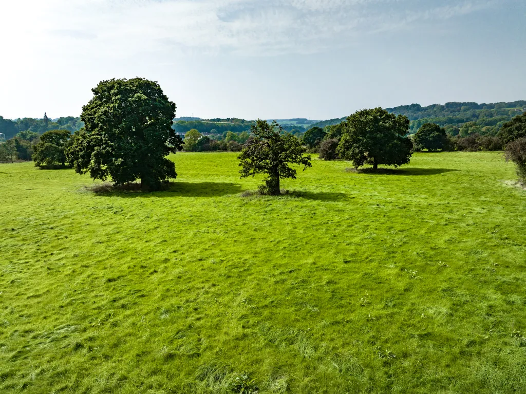 Lodge Hill Farm, Wingfield Park, DE56, photo 9