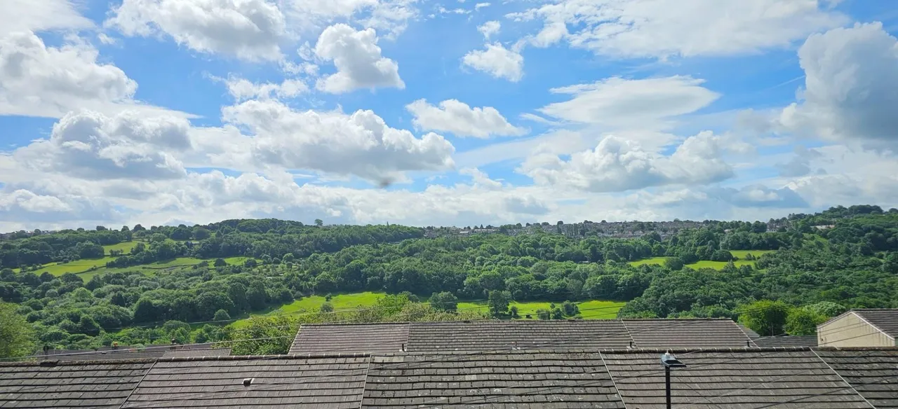 Liberty Hill, Stannington, S6, photo 2