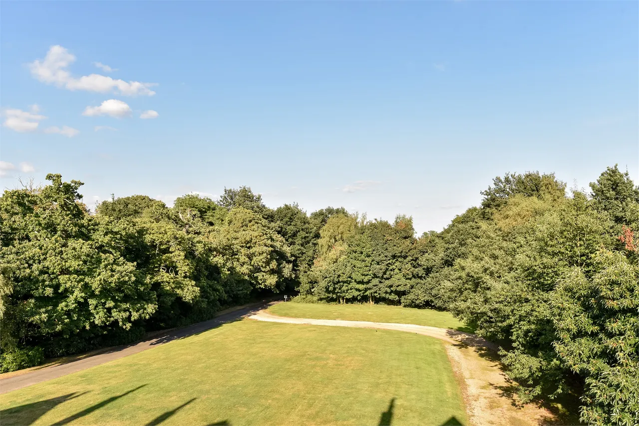 Cobbett Hill Road, Normandy, GU3, photo 11