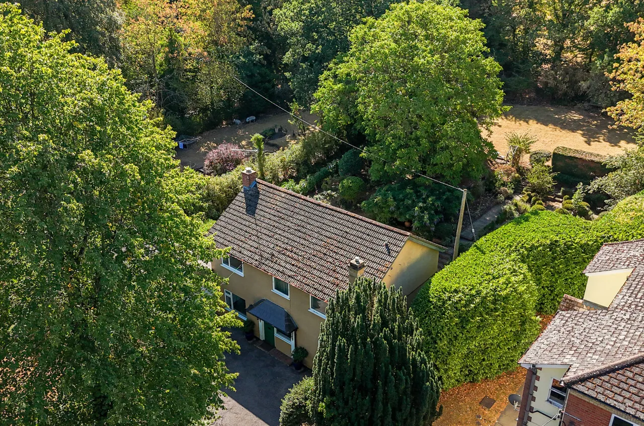 Guildford Road, Farnham, GU10 1PG, photo 12