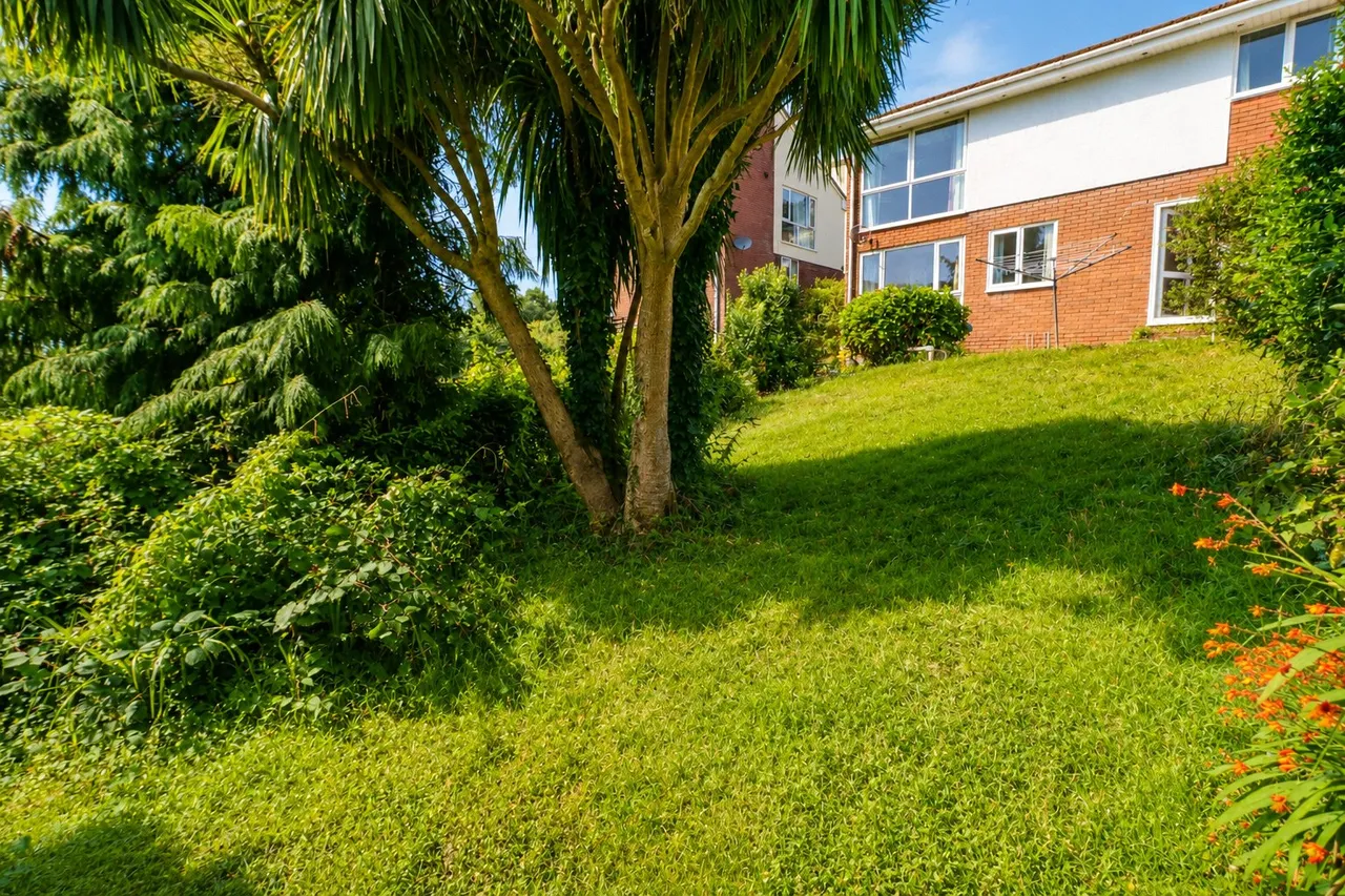 Meadow Close, Ilfracombe, EX34, photo 4