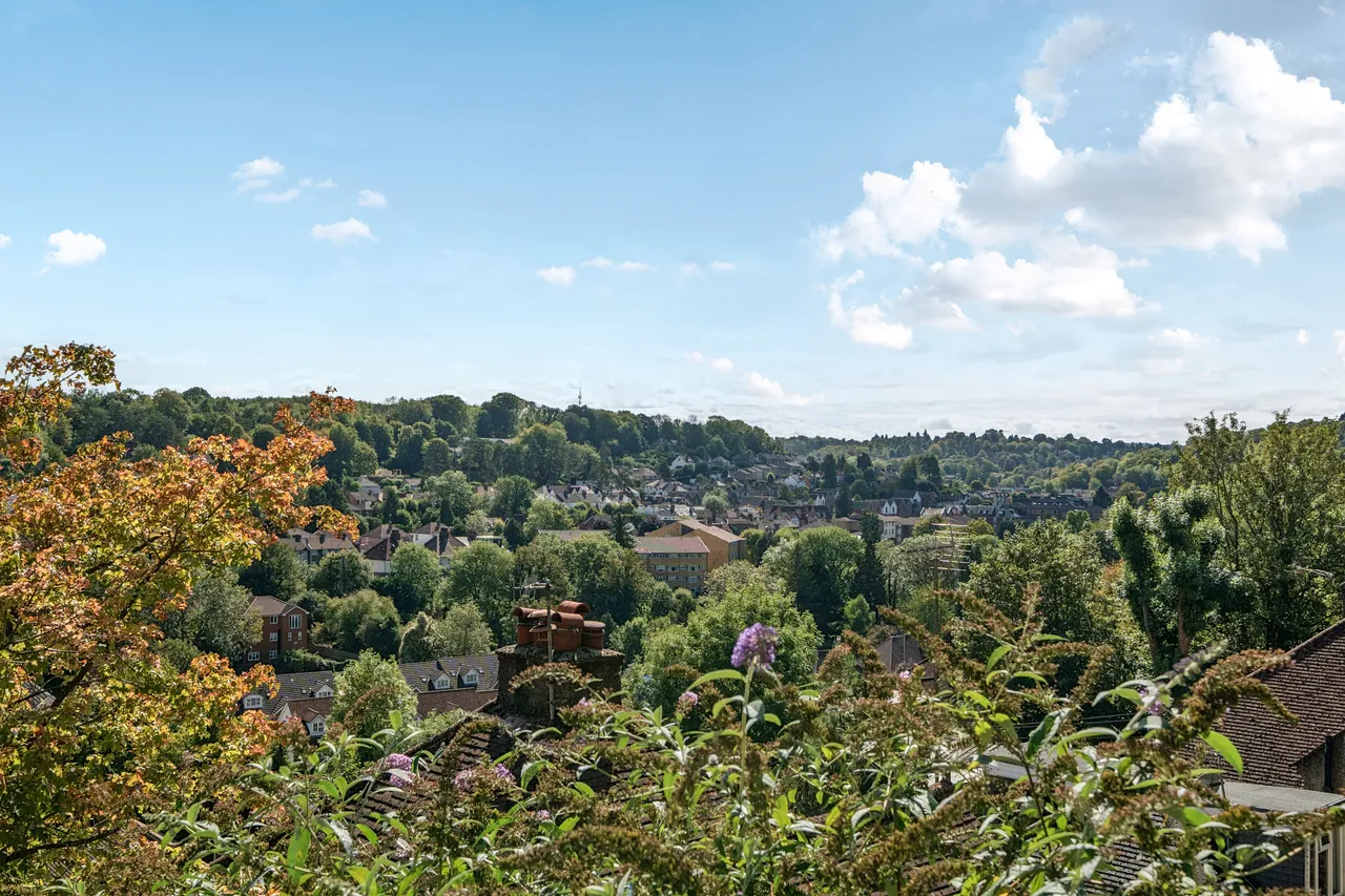 Milner Road, Caterham, CR3, photo 8