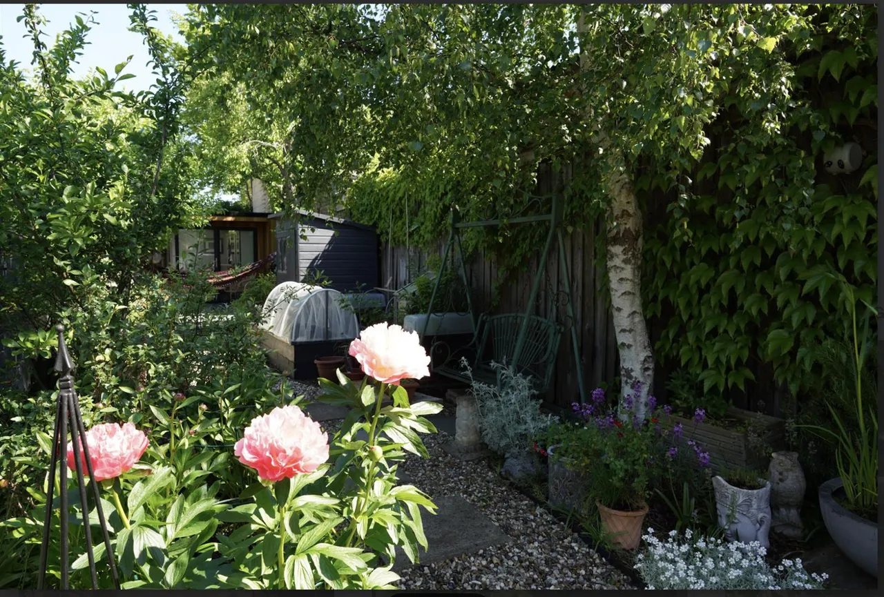 Cherry Hinton Road, Cambridge, CB1, photo 24