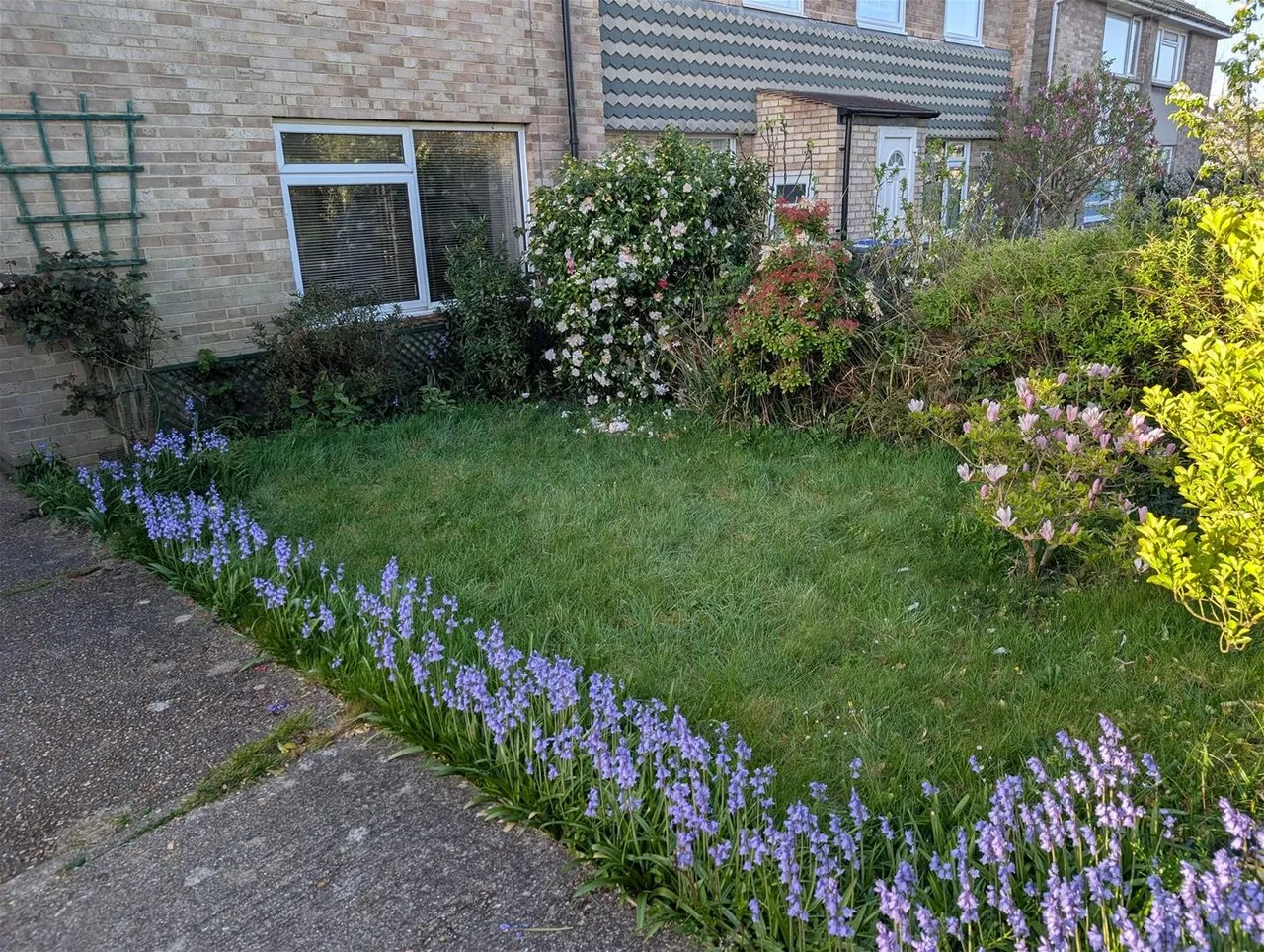 Somerset Close, Worthing, photo 19