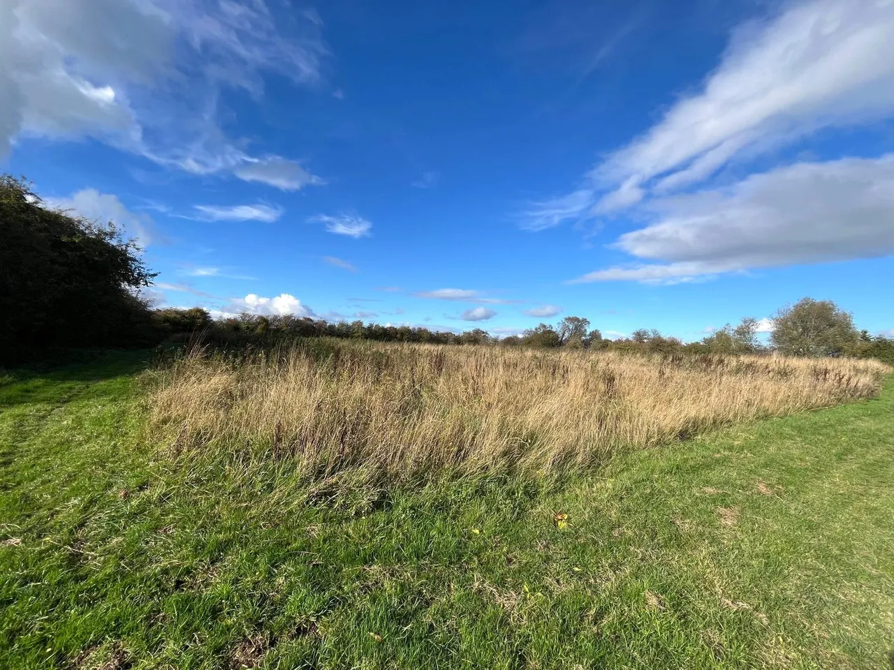Deighton, Northallerton, North Yorkshire, DL6 2SJ, photo 49