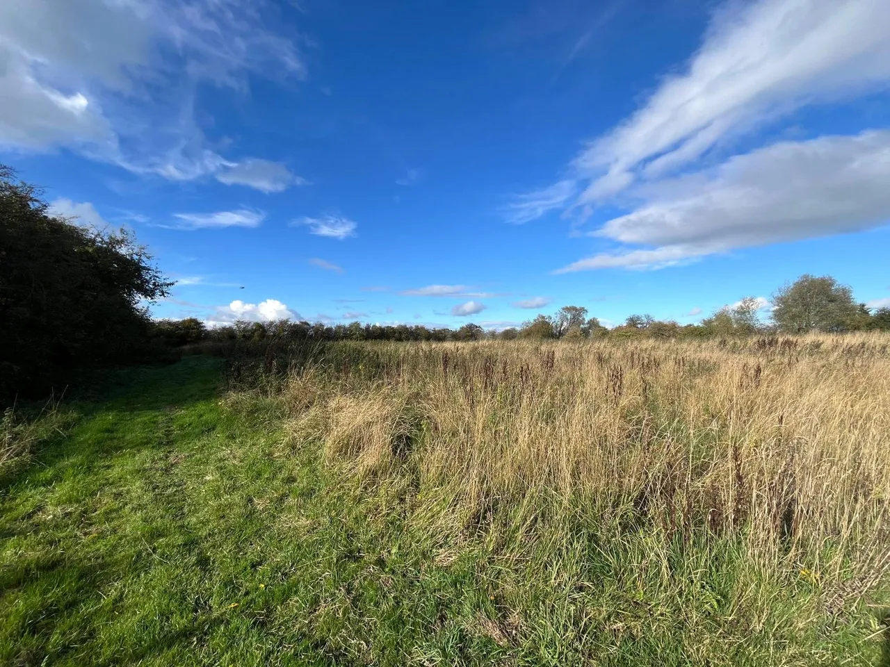 Deighton, Northallerton, North Yorkshire, DL6 2SJ, photo 50