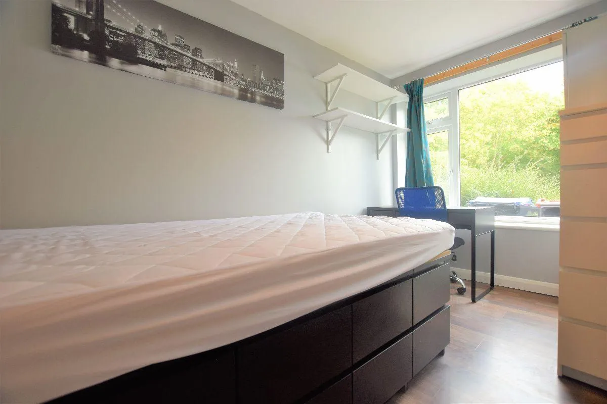 Tenterden Drive, Canterbury, CT2, photo 8