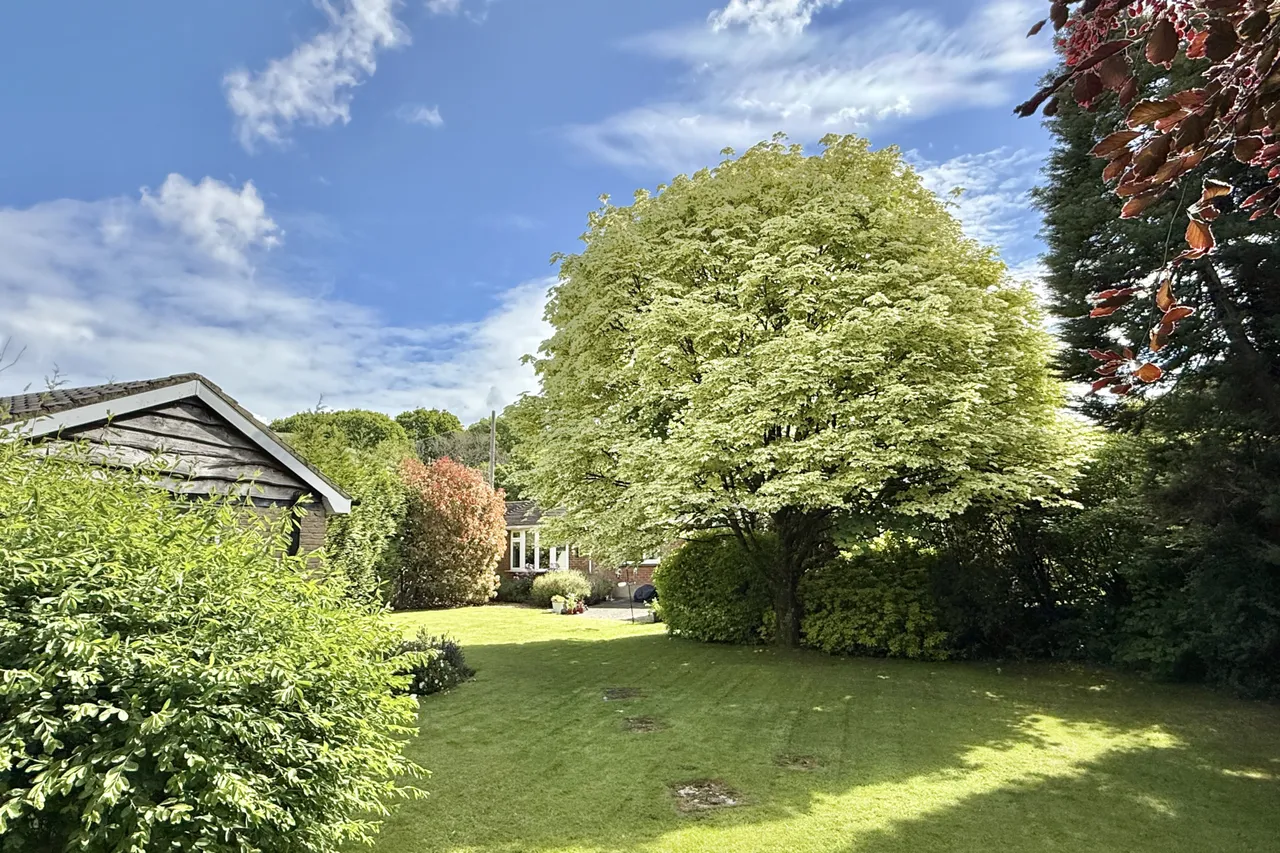 South Gorley, Ringwood, BH24, photo 14