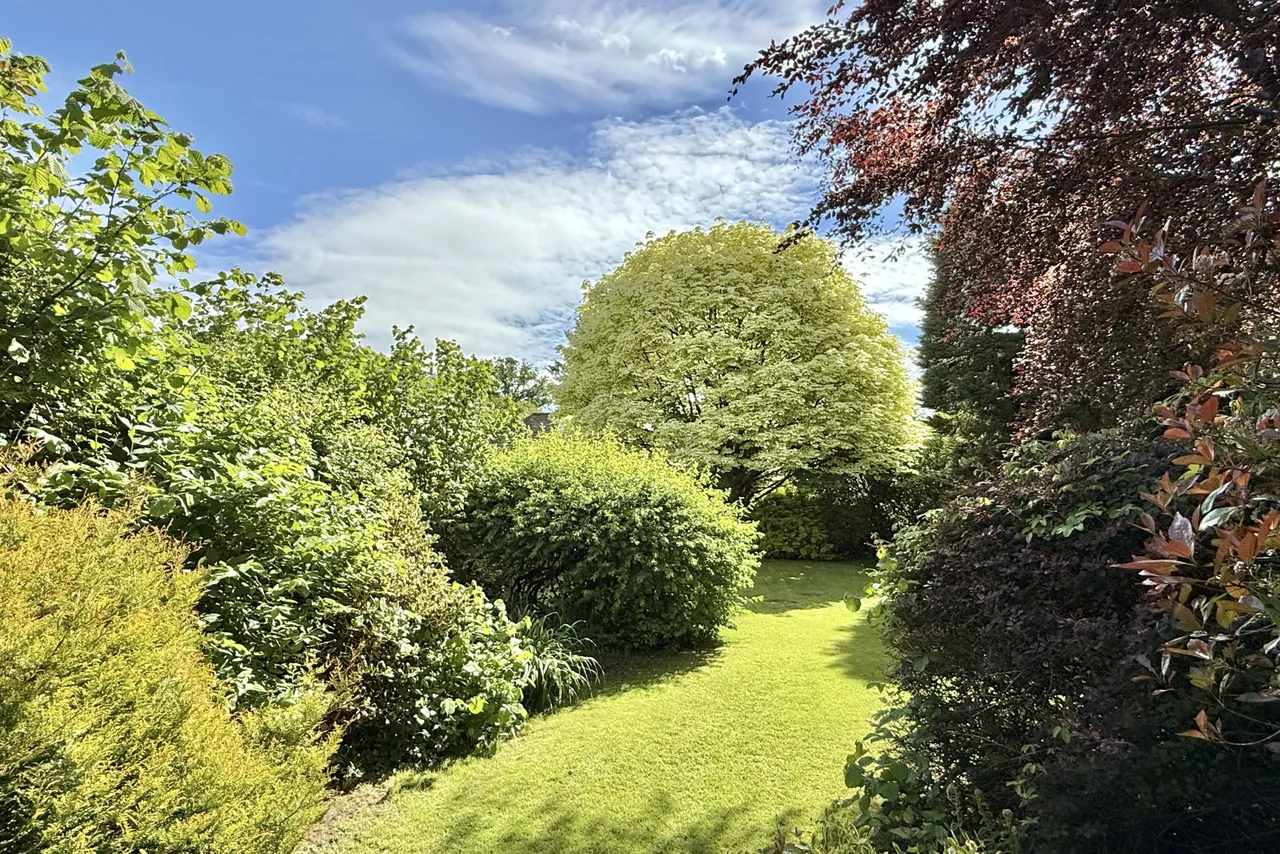 South Gorley, Ringwood, BH24, photo 28