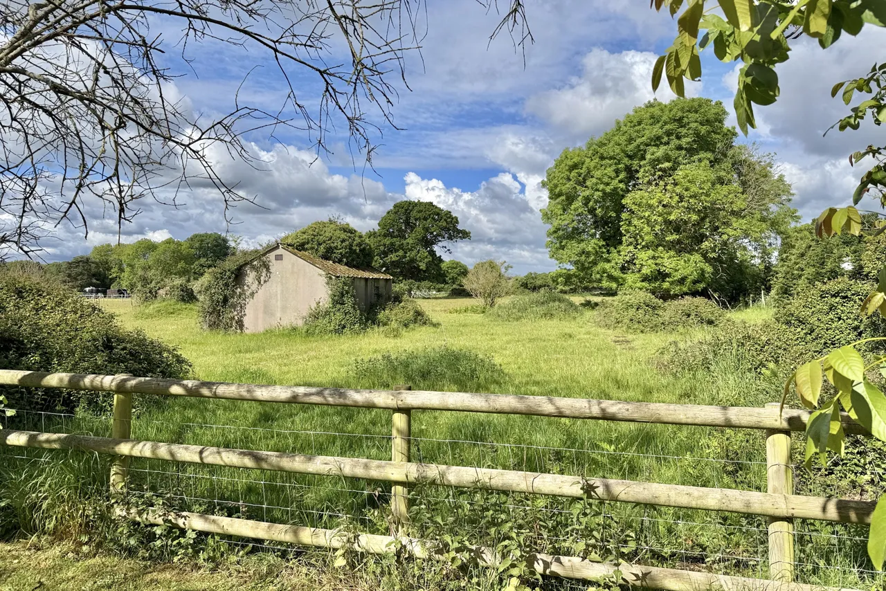 South Gorley, Ringwood, BH24, photo 3