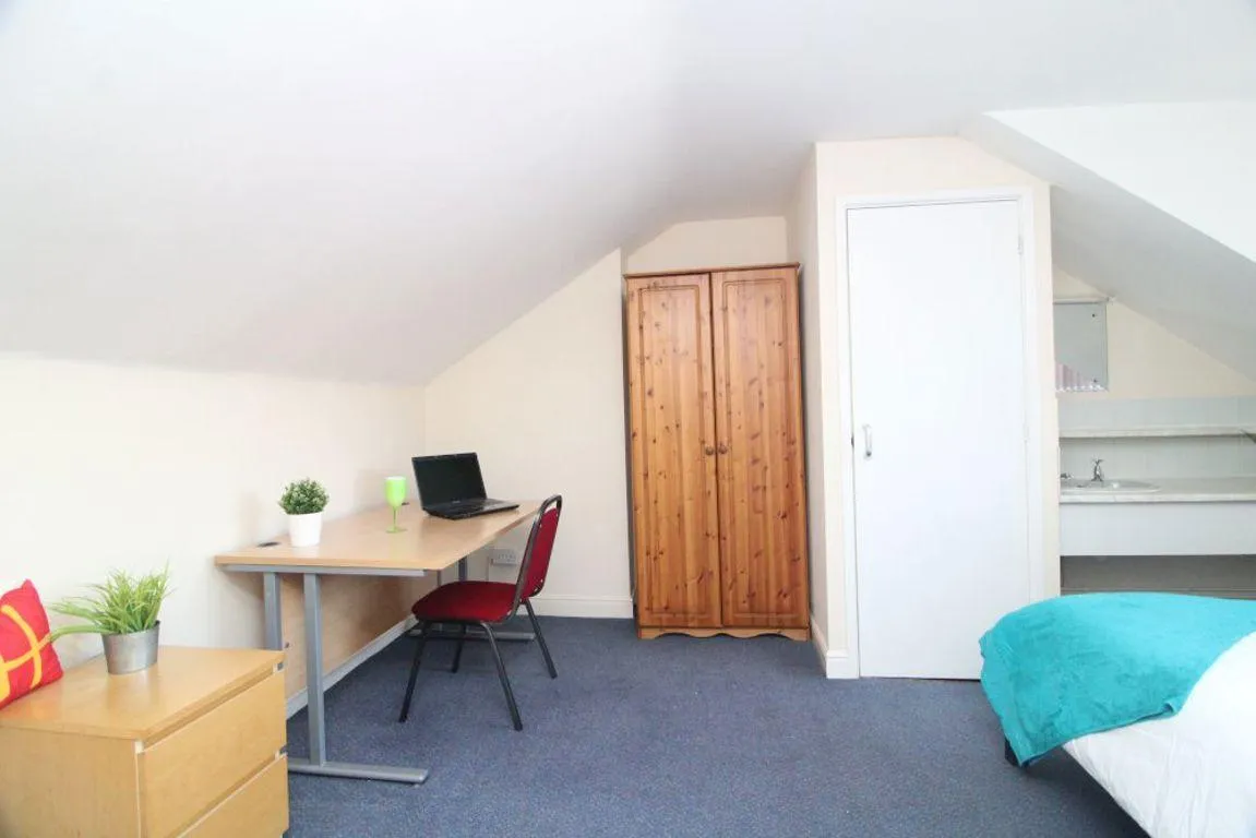 Wilkinson Street, S10, photo 8