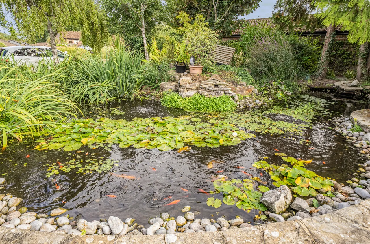 Essex Drive, Cranleigh, GU6, photo 18