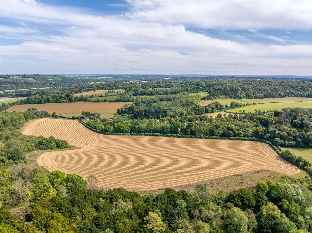 Hillfields Farm, Lower Basildon, Reading, Berkshire, RG8 9PE, photo 6