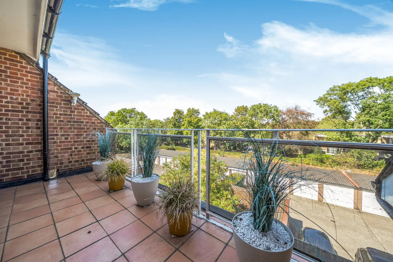 Albemarle Road, Beckenham, BR3, photo 12